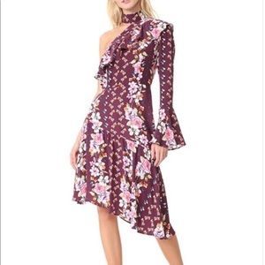 Parker Elixir Meadow Floral Dress